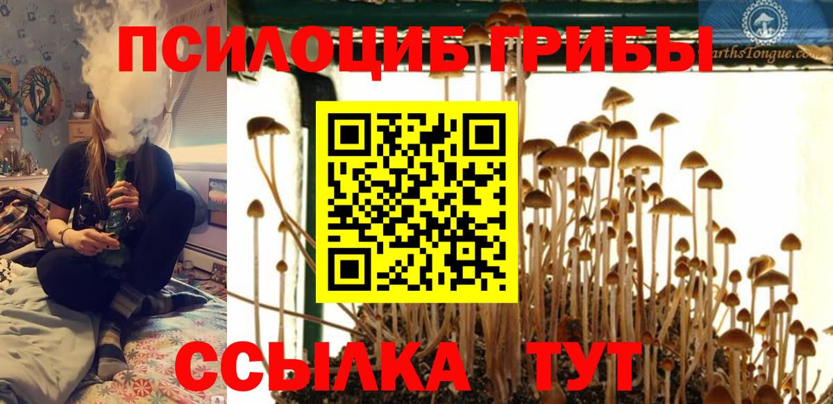 Галлюциногенные грибы Psilocybe  Вход с VPN  Кирово-Чепецк 